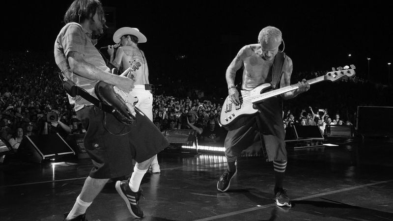 Rock music music quiz - Guess the band Rock music photo quiz